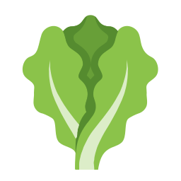 Lechuga