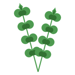 Menta