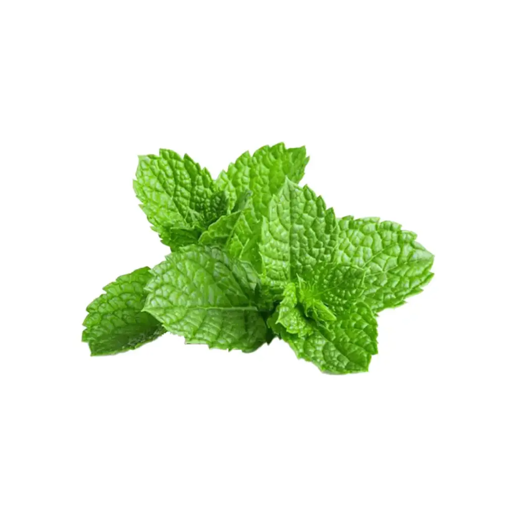 Mint